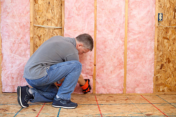 Best Insulation Installation Services in USA